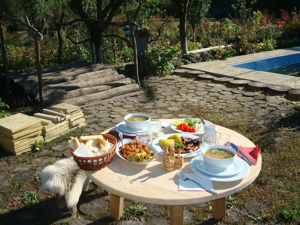 Casa Din Lunca Hotel Orgiejów Zewnętrze zdjęcie