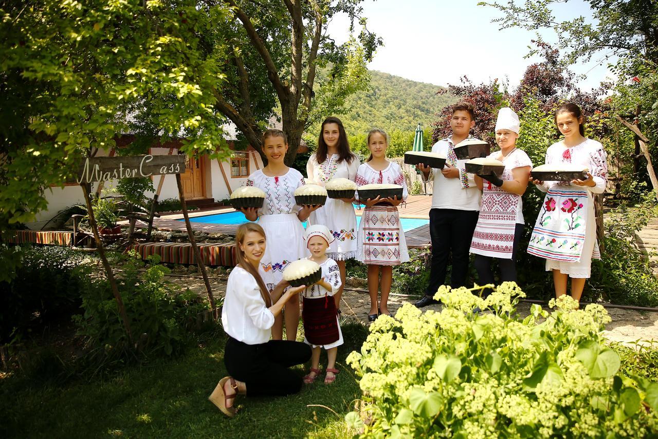 Casa Din Lunca Hotel Orgiejów Zewnętrze zdjęcie